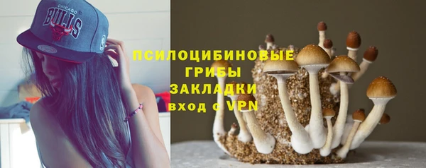 прущая мука Зеленодольск