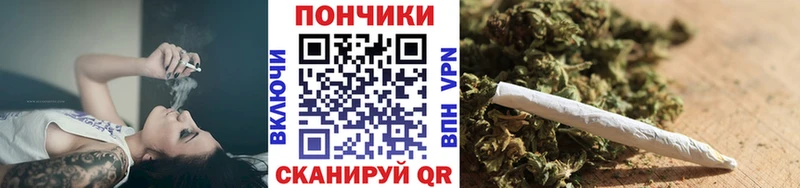 Купить закладки  Камышин  Каннабис индика 